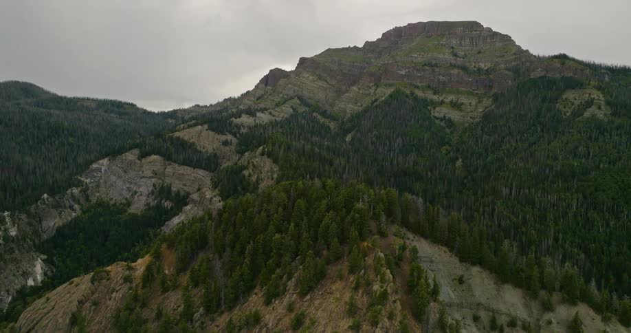 A landscape view of hills covered in trees
