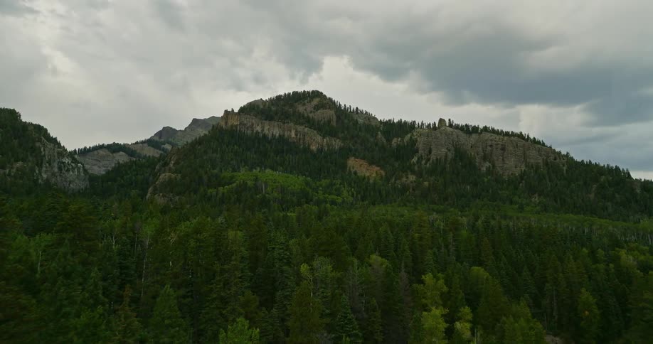 Trees in the forest stand tall leading up the mountains with peaks high in a cloudy sky