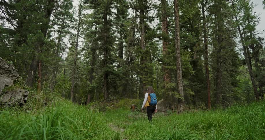 Woman with wavy hair brown vest and blue backpack hikes into the woods