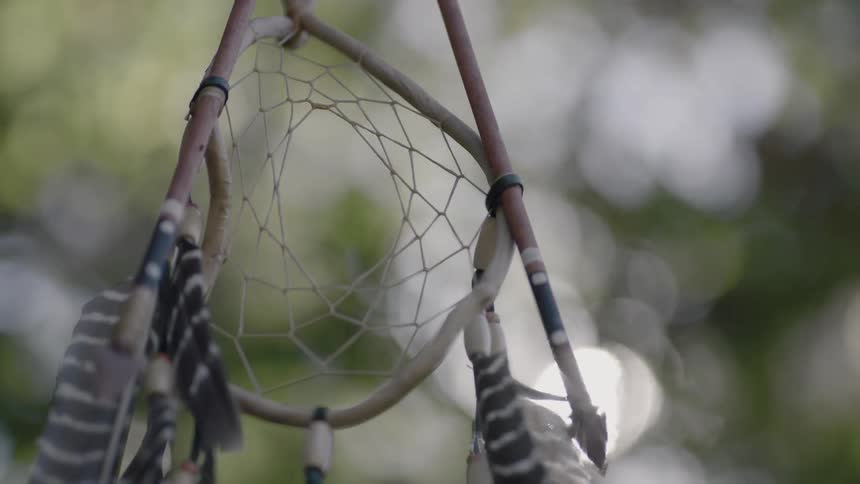 Native American Artifacts