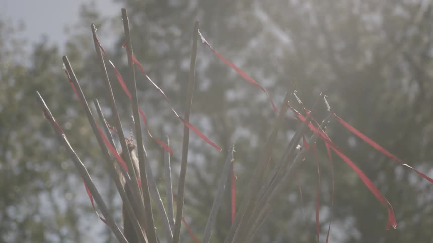 Streamers blowing in the calm breeze from sticks