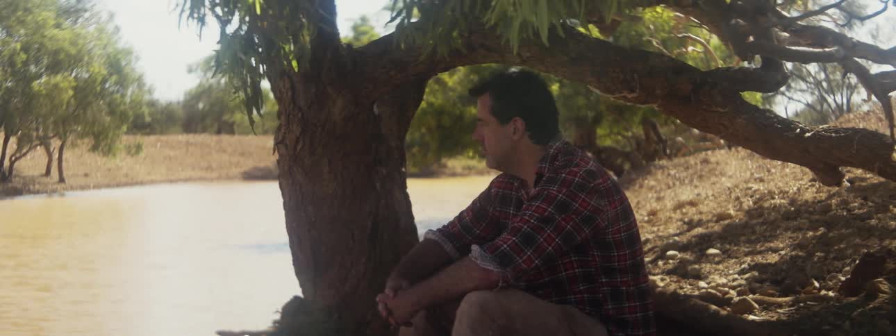 A man sits in the shade of a tree next to a river on a sunny day
