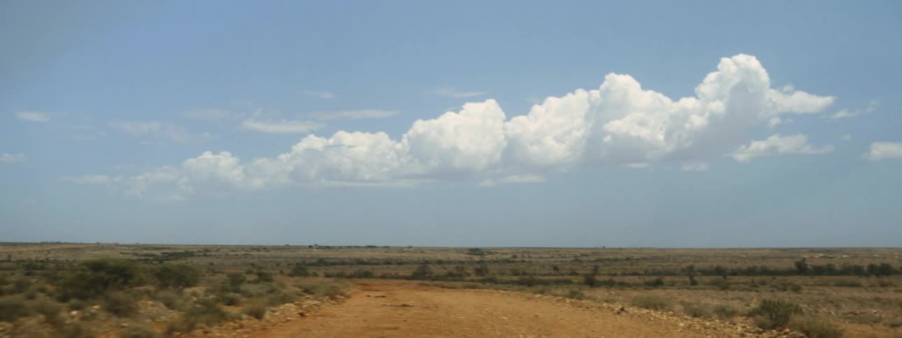 The dirt road runs through the field