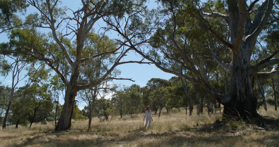 Woman wearing a white dress walks through grass between trees on cloudy day