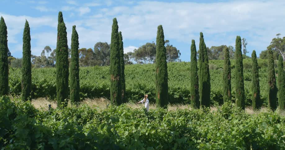 A woman stands next to tall trees with her arms stretched out behind her