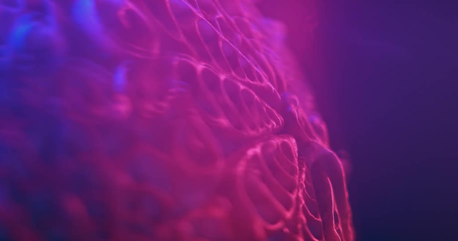A pink light shines down on a textured plastic object