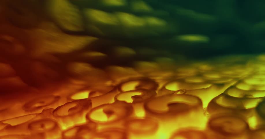 Extreme close up of the elaborate shapes on the surface of a lampshade projecting a diffuse yellow light