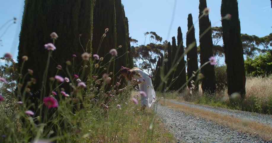 A woman in a white dress standing on a country road surrounded by tall bushes and trees stops to smell the flowers