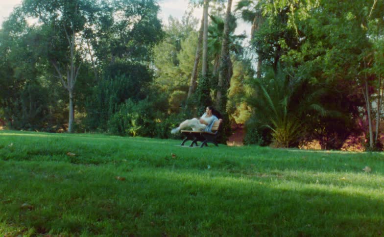 A woman performs a modern dance on a park bench