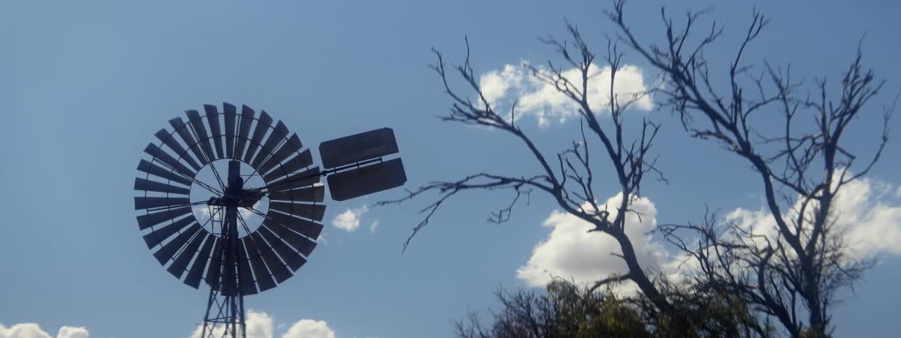 Windmill with weather vane next to tree