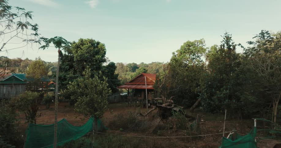 Home on pilings and other houses sit in large yards among trees
