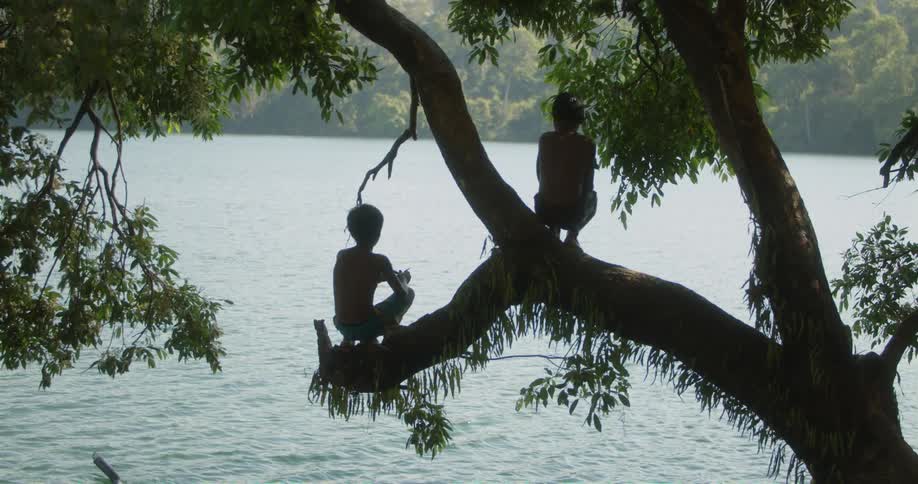 Two youths balance in tree on shore silhouetted against the flowing water