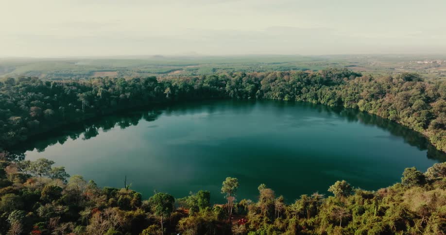 A round lake sits in the middle of a forest