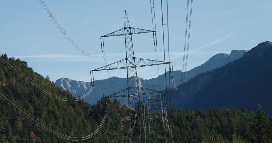 Cables running between electrical transmission towers in a forest