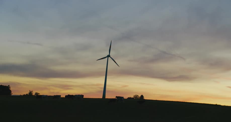 A wind turbine in a field in a rural area as the sun sets