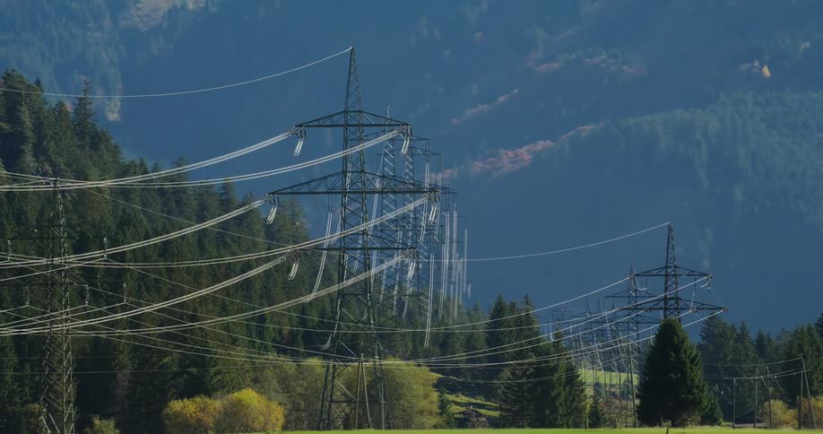 Electrical towers line a field next to a forest