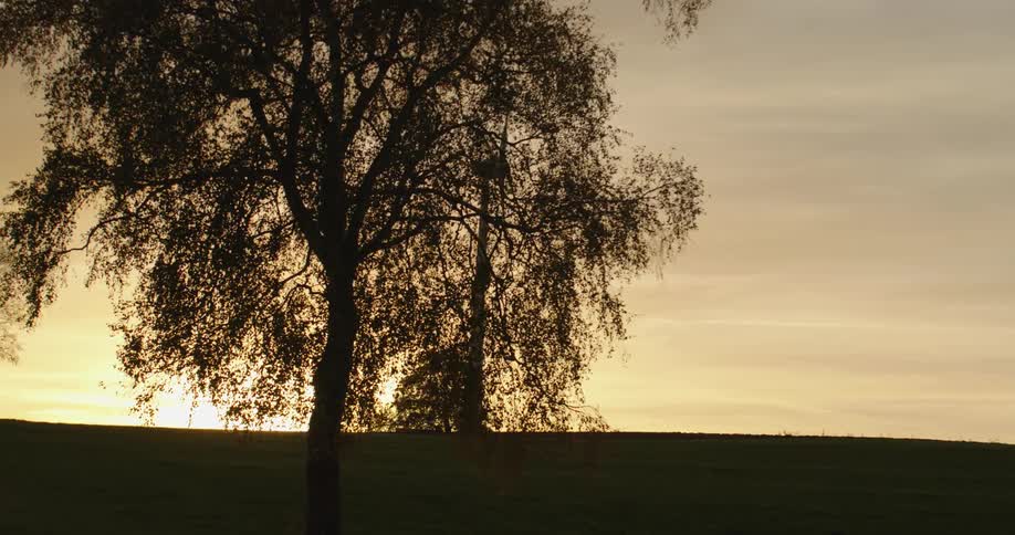 A silhouetted wind turbine in a field at sunset