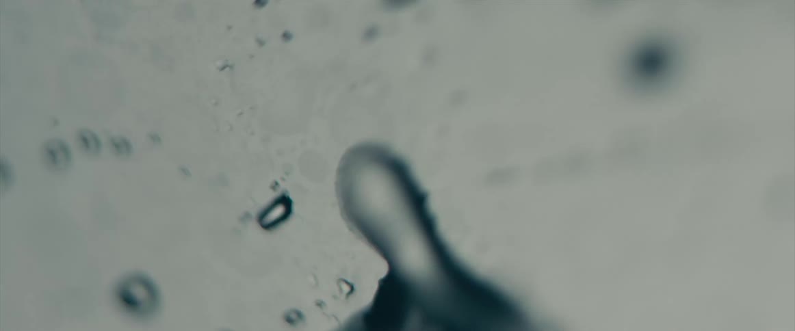 Numerous small drops of water roll across a transparent glass surface