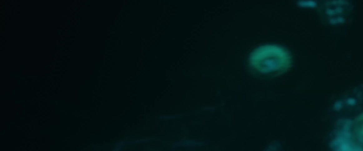 Circular shapes and formless vapor float through darkness
