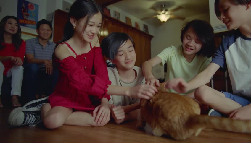 Group of children sitting on the floor petting a cat at home caught on vintage film