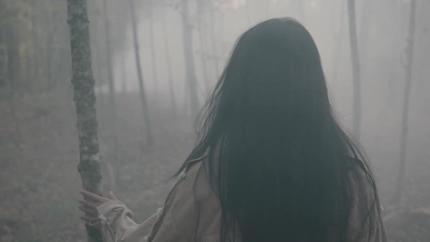 A woman in native indian clothing is walking through a misty forest during the day