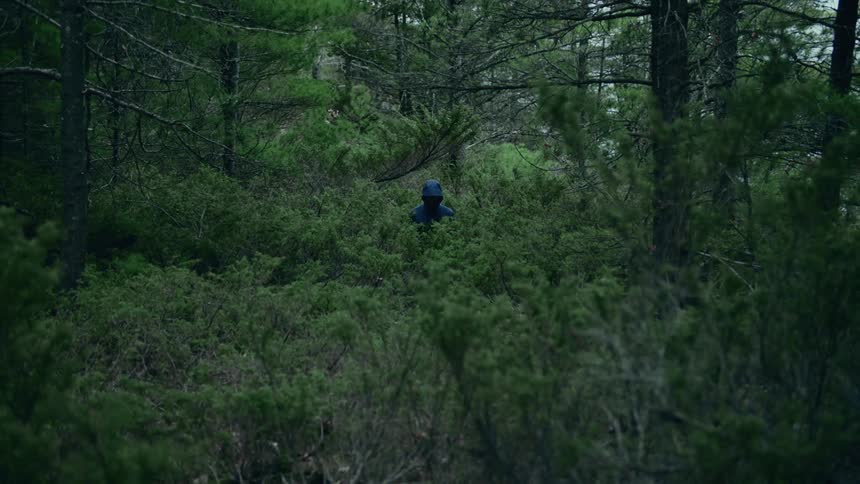 Somebody wearing a black hooded jacket is standing among trees and plants in the woods