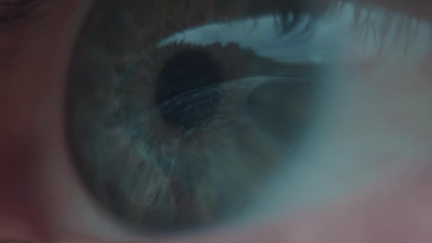The forest is reflected in the iris of a human eye