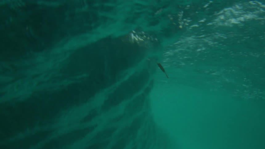 A huge wave rolls in splashing overhead and then looking up from underwater