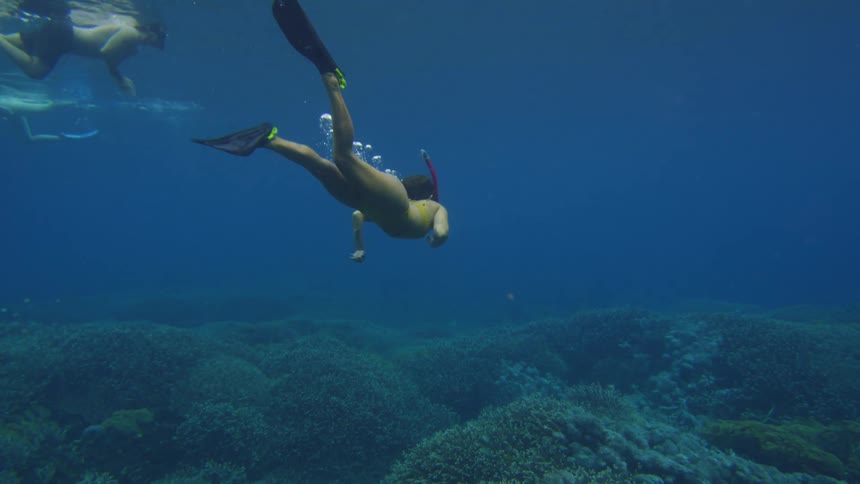 People swimming and snorkeling in ocean water