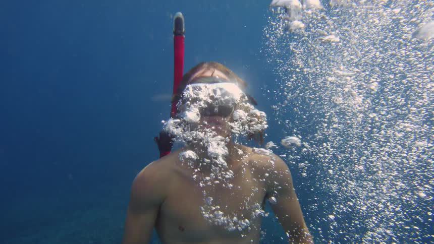 A snorkeler swimming underwater slowly rises towards the surface