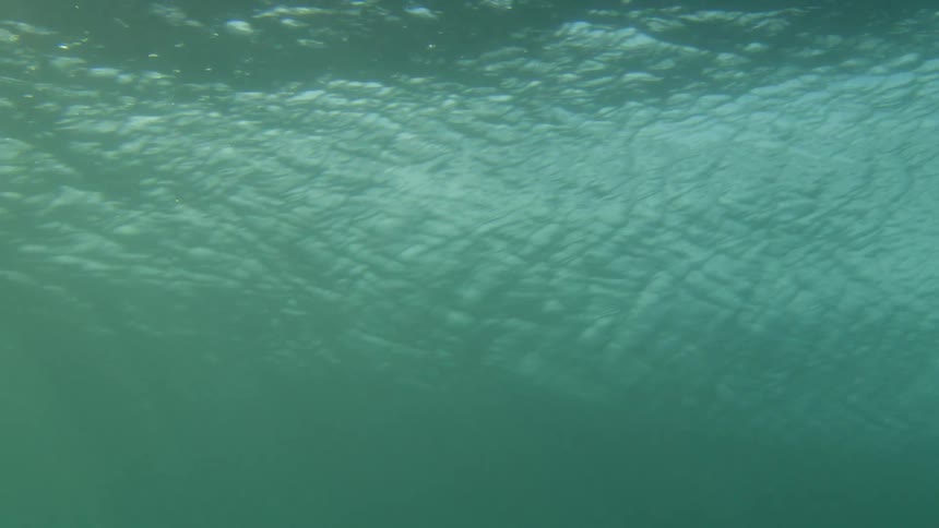 A diver floats at the surface of the ocean