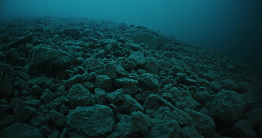 Rocks of varying sizes form a mound underwater