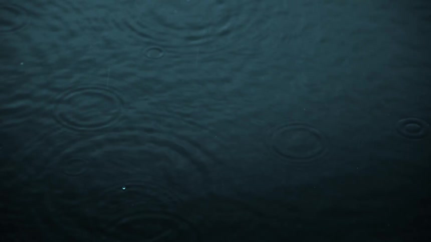 Raindrops falling creates circular ripples on the calm surface of a body of water