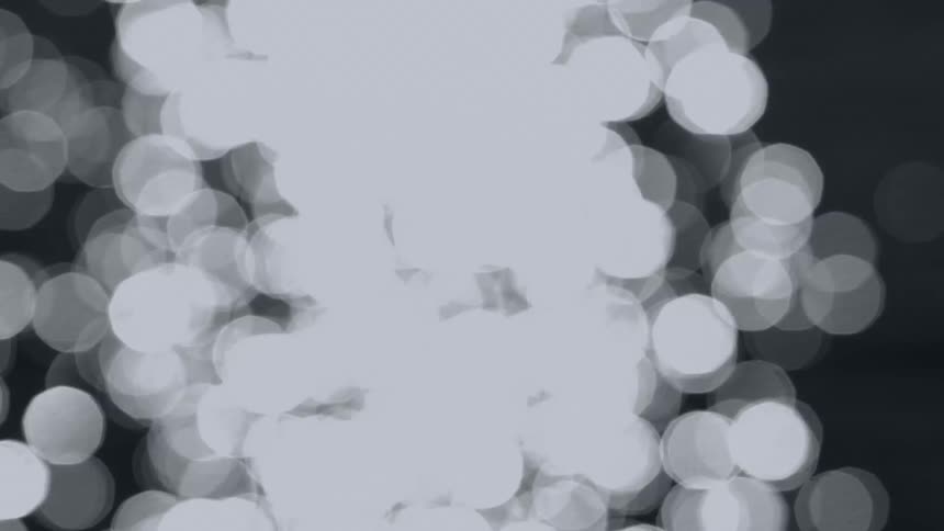 Orbs of white light twinkle and flutter in the darkness