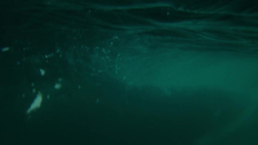 Underwater view of an ocean wave in motion