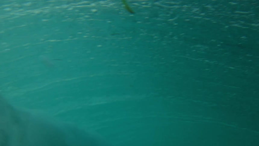 Sunlight shines on a huge wave as it rolls in splashing overhead and then under clear blue water
