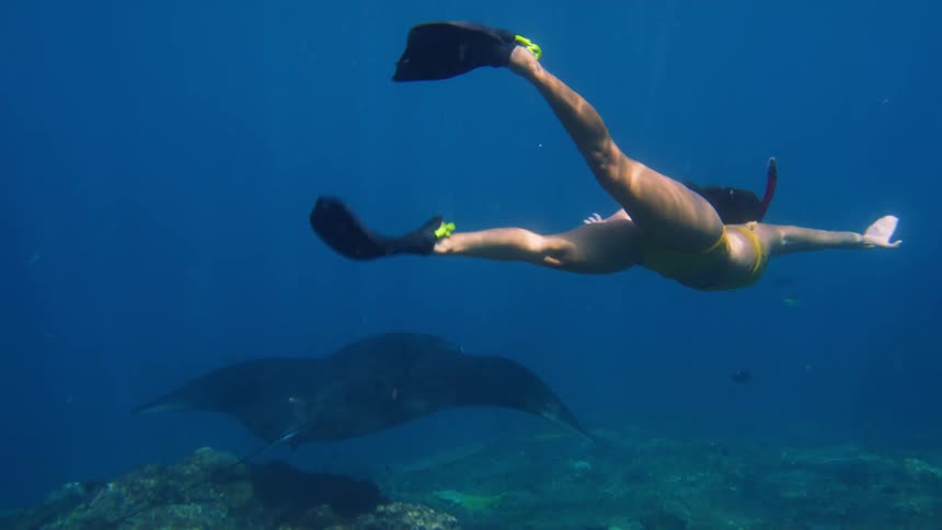 A woman swims next to wildlife under water wearing a snorkel in the ocean