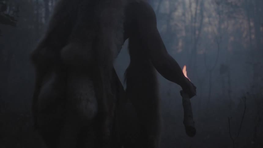A man holding a torch in a misty forest