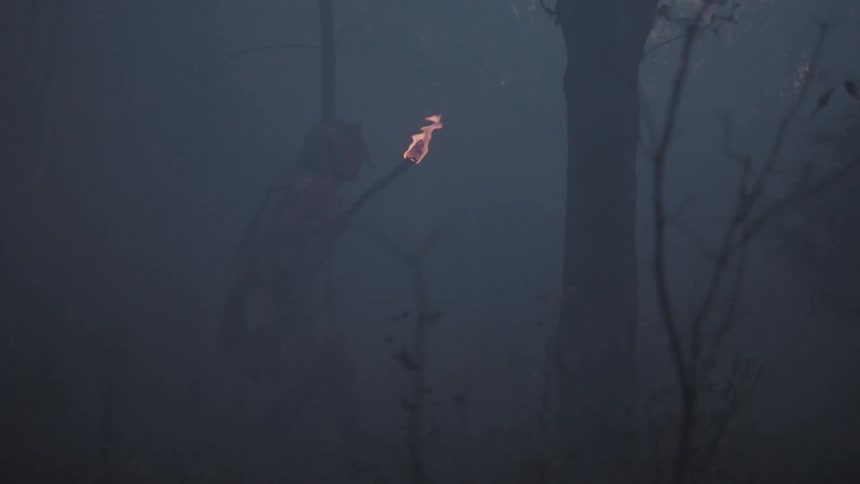 A man wearing furs holds a torch as he walks through a misty forest