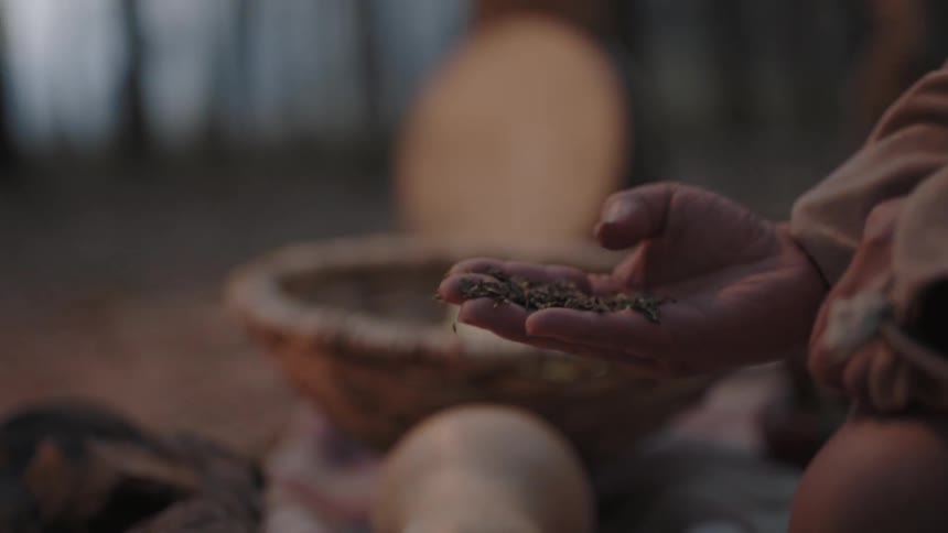 A person sifts through seeds from a bowl