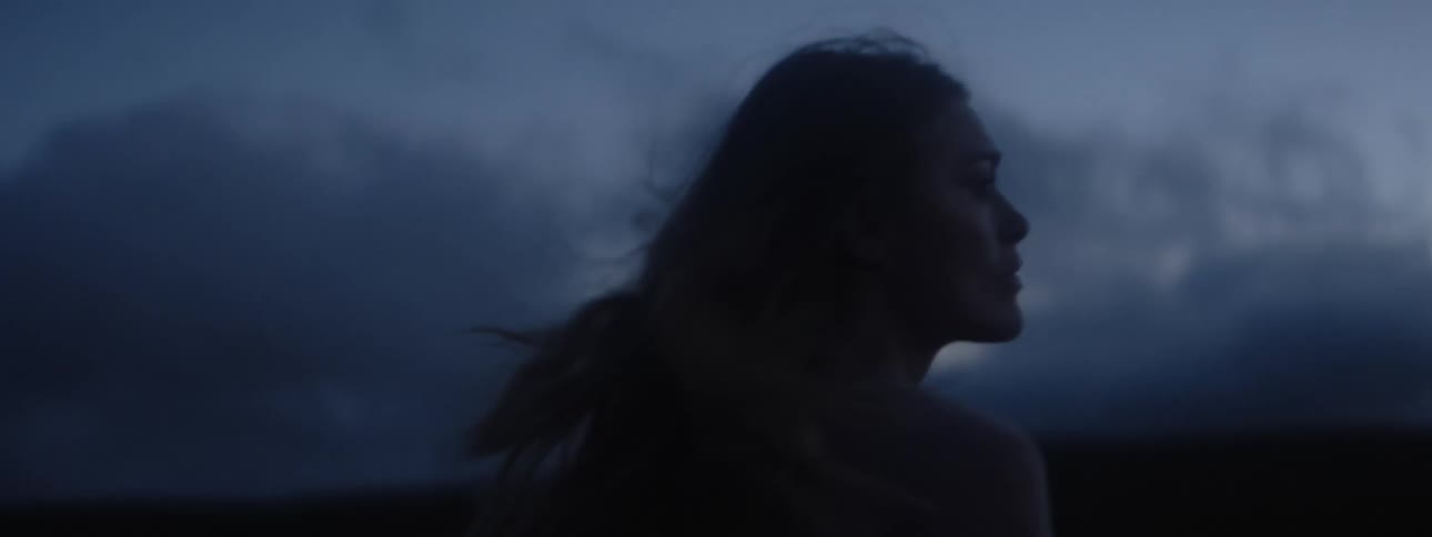 A woman with long hair walking alone in a field at dusk