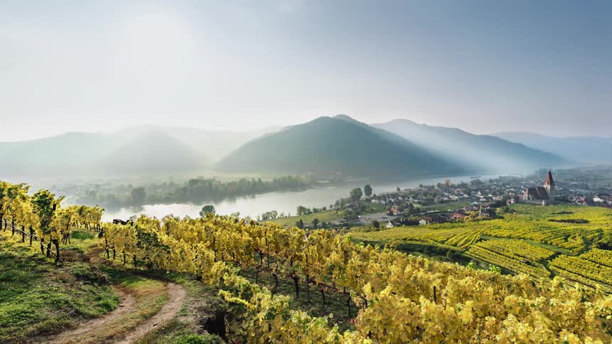 A landscape view of a vineyard above a lake with a boat