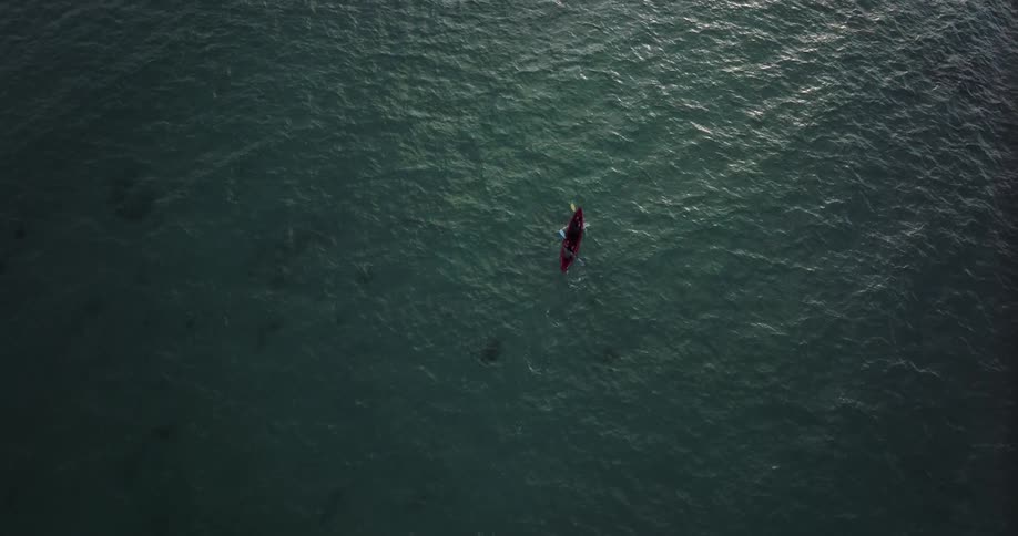 People paddling in a boat on ocean water