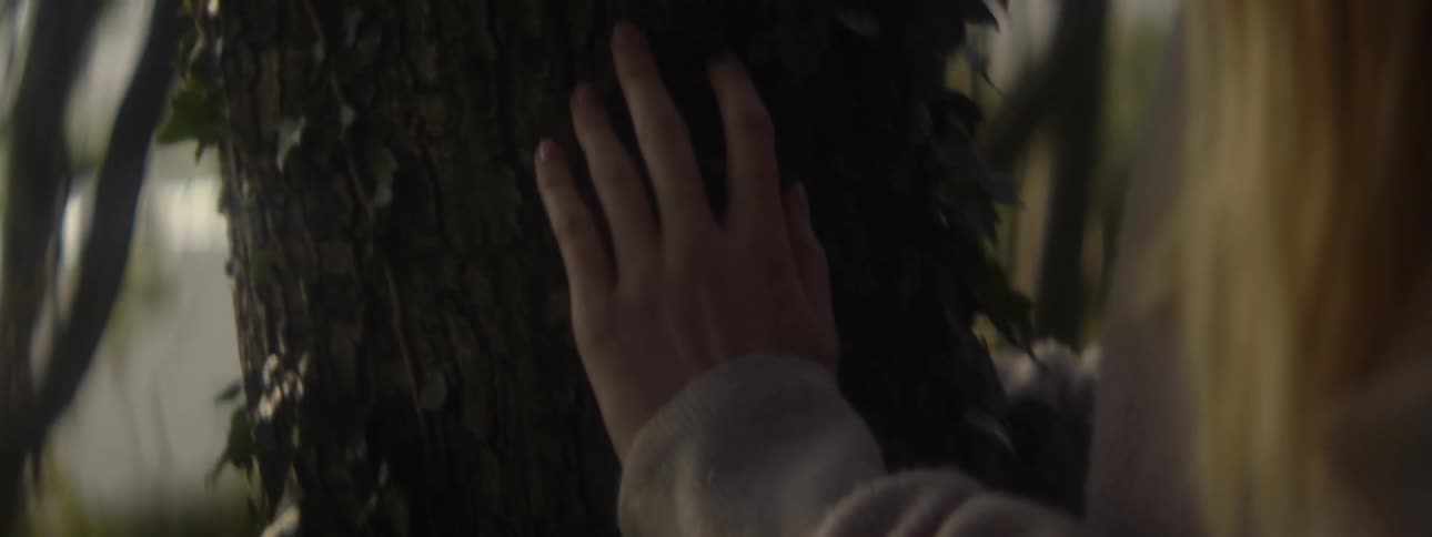 A woman holds onto a tree trunk while walking through the woods
