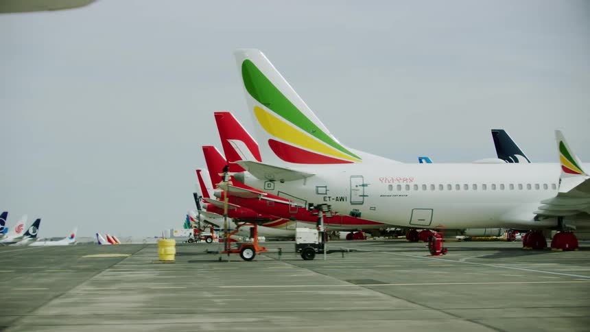 Many colorful airplanes are parked on the tarmac at the airport