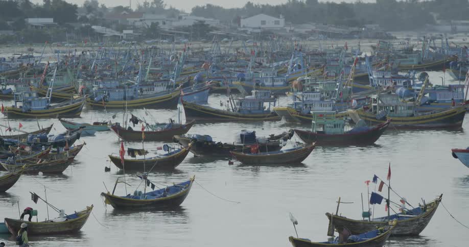 A boat travels through a large group of boats amassed near the coast during the day