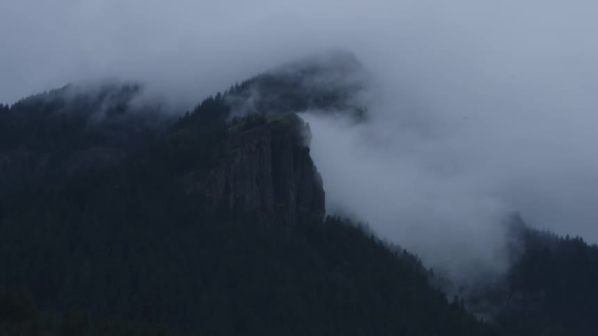 Dense white clouds rolling over the pine tree forests growing in the mountains