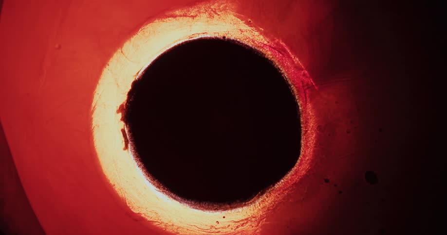 A black circle is surrounded by swirling red and yellow liquid