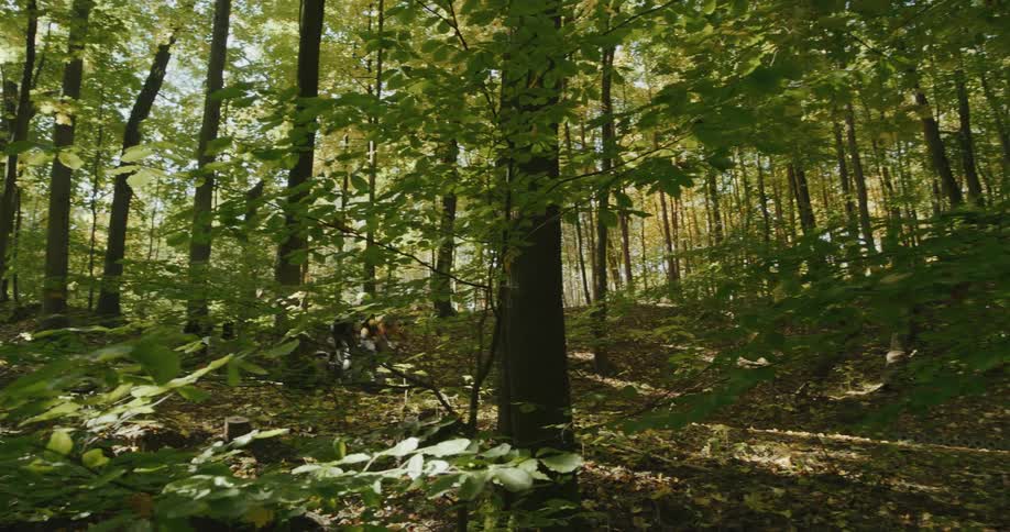 Two people are riding their bicycles on a trail through the woods