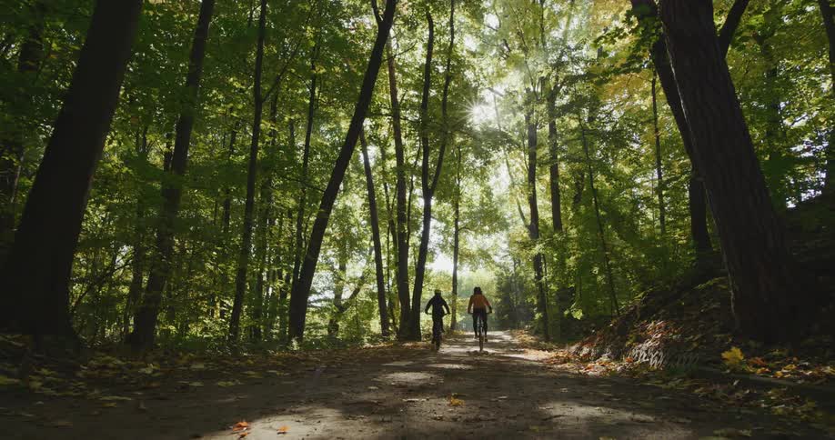 Two people are riding bicycles through a wooded area